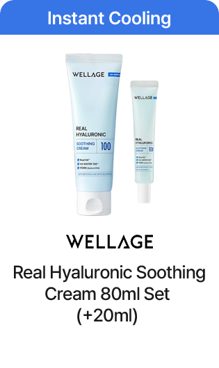 Instant Cooling WELLAGE Real Hyaluronic Soothing Cream 80ml Set (+20ml)