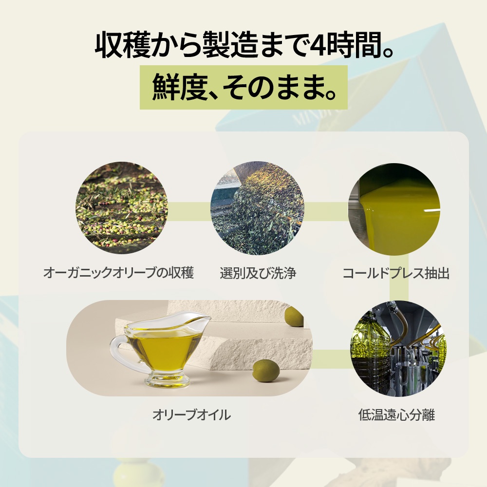 FOODOLOGY Mindful Olive Oil 1.6g X 30 Sticks (30-day supply