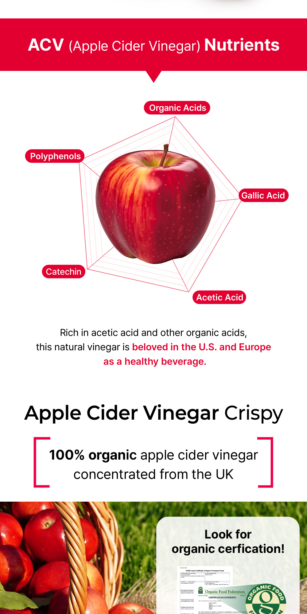 FOODOLOGY Apple Cider Vinegar Crispy #Peach 14 Sticks | OLIVE