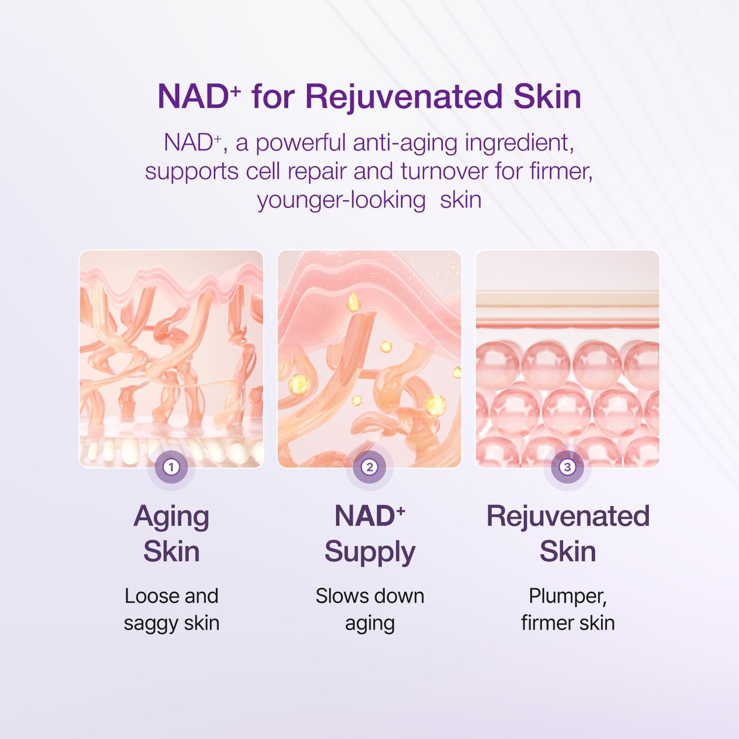 numbuzin No. 9 NAD Special Set (Essence 50ml + Toner 150ml + eye cream 10ml)