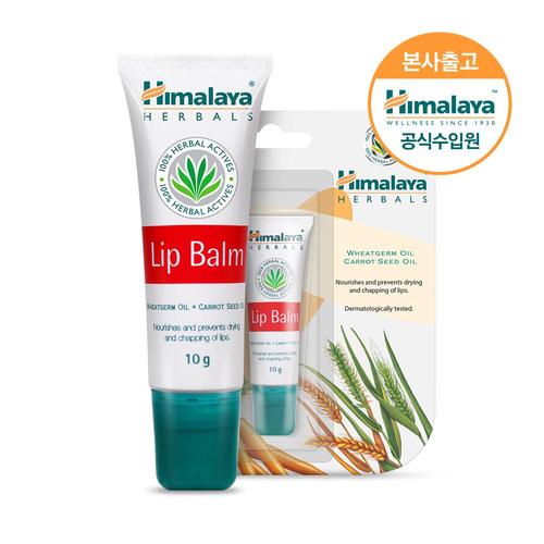Himalaya Lip Balm 10g×50本 Himalaya Honey Gloss Lip Balm 10g | OLIVE YOUNG Global