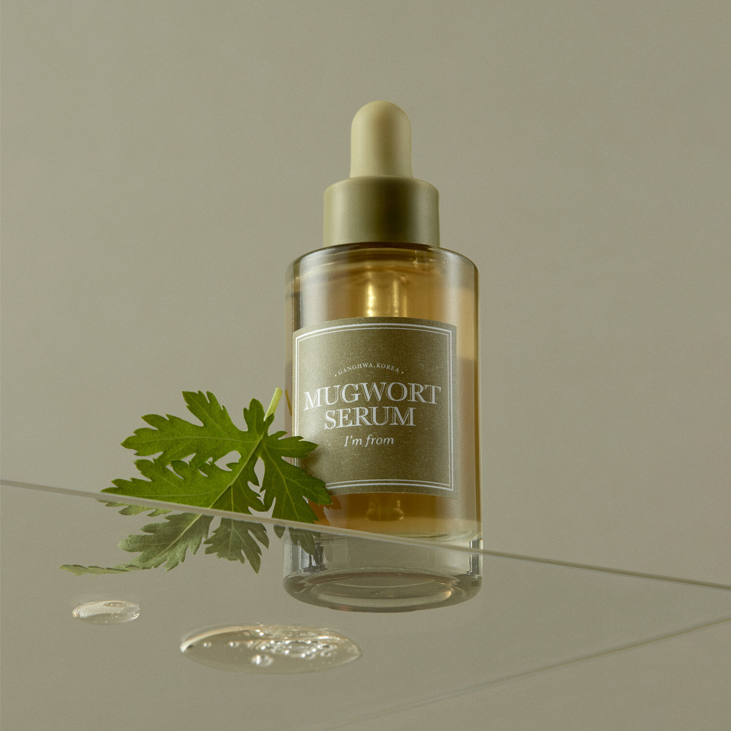 Mugwort Serum
