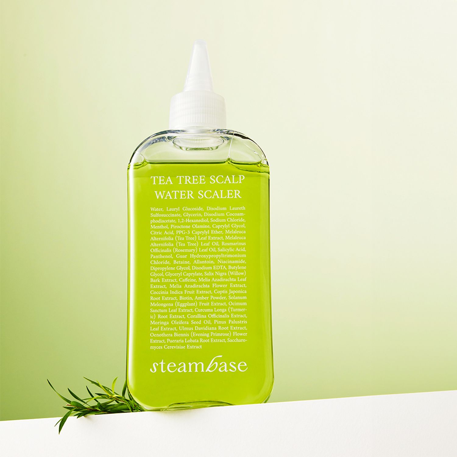 STEAMBASE Tea Tree Scalp Water Scaler 250mL (Hair loss care) | OLIVE YOUNG Global