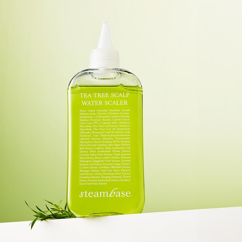 STEAMBASE Tea Tree Scalp Water Scaler 250mL (+50ml+brush)