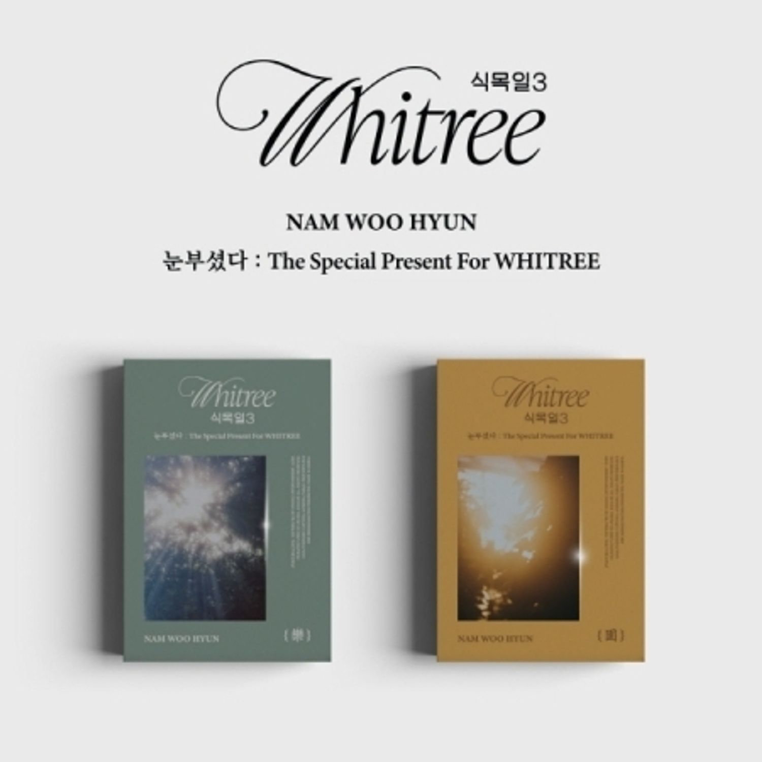 NAM WOO HYUN - 눈부셨다 : THE SPECIAL PRESENT FOR WHITREE (식목일 3 LIVE VER.) | OLIVE YOUNG Global
