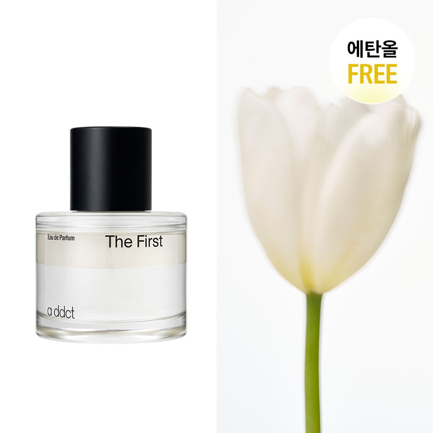 a ddct EDP 50ml ザファースト(リニューアル) | OLIVE YOUNG Global