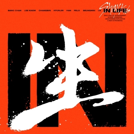 STRAY KIDS - VOL.1 REPACKAGE IN LIFE | OLIVE YOUNG Global