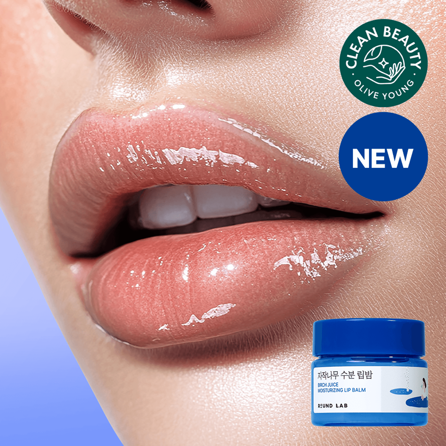 ROUND LAB Birch Juice Moisturizing Lip Balm 20g | OLIVE YOUNG Global