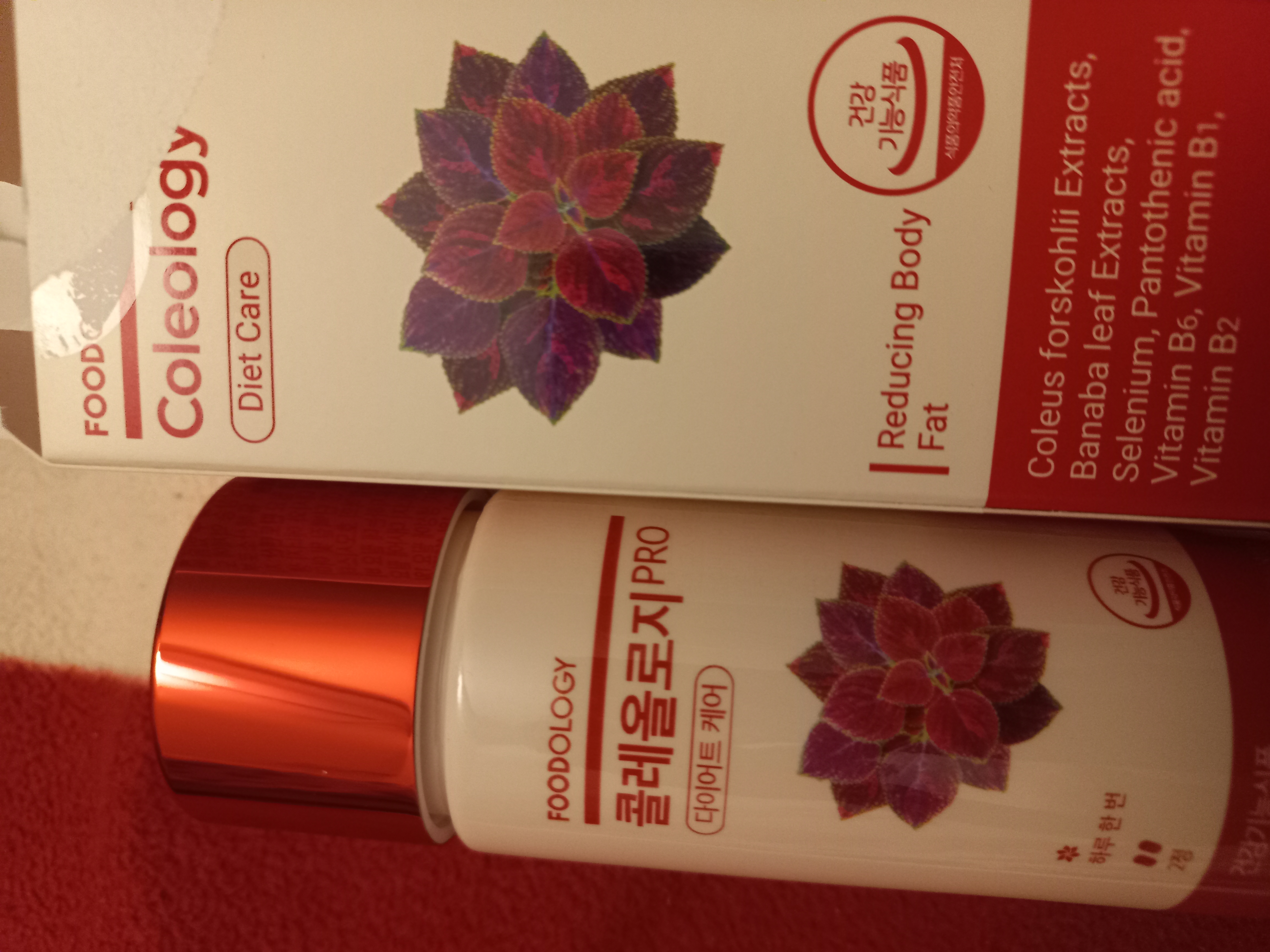 FOODOLOGY コレオロジー PRO 600mg*60錠(1ヶ月分) | OLIVE YOUNG Global