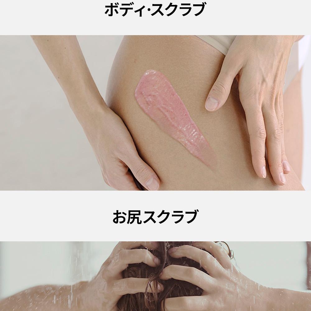 ★麗奈★オーストラリア産ウィートヘイnatural color 4kg 楽天市場】サンシャインワトル《オーストラリアンブッシュ