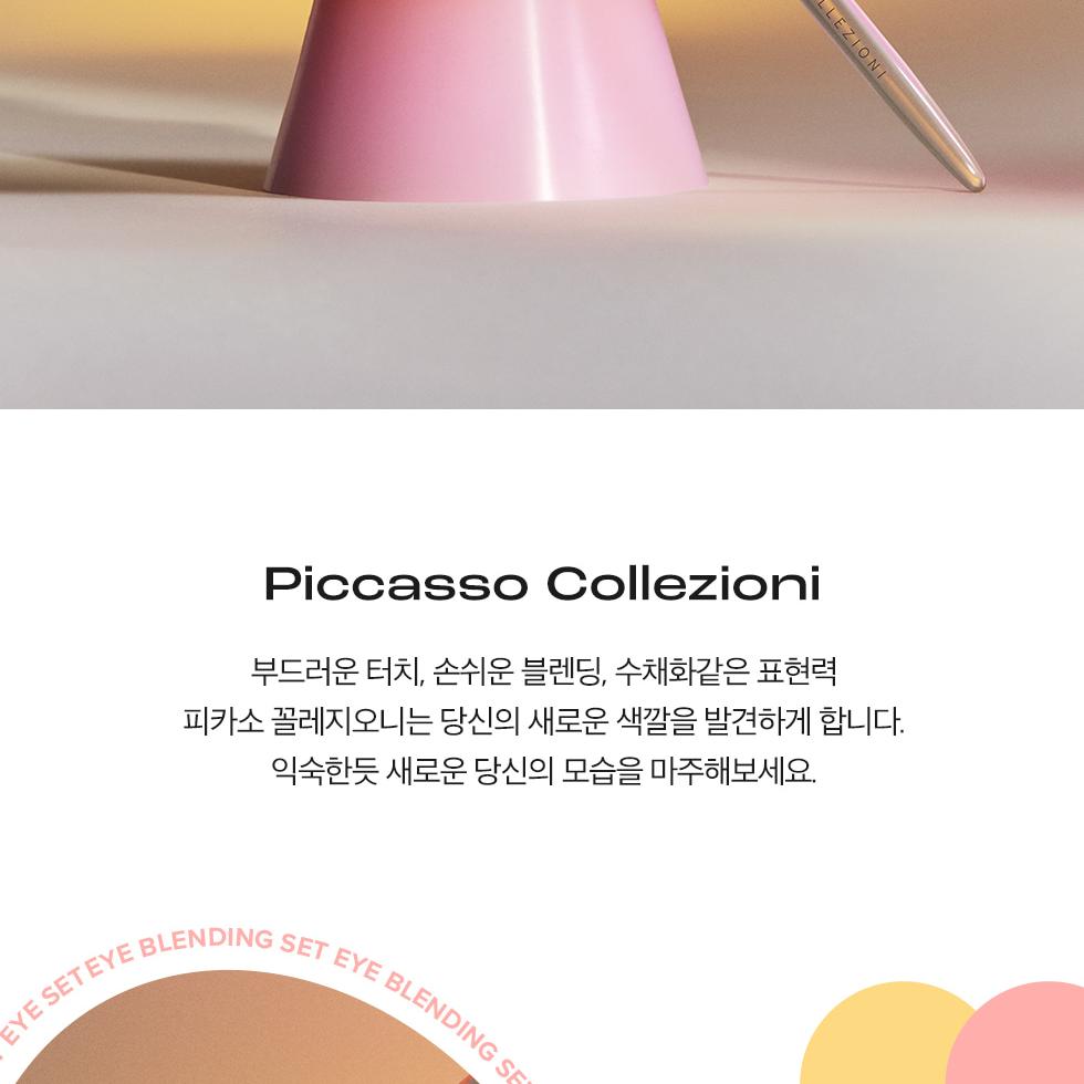 PICCASSO コレッツィオーニ アイブレンディングセット（239+19アイ