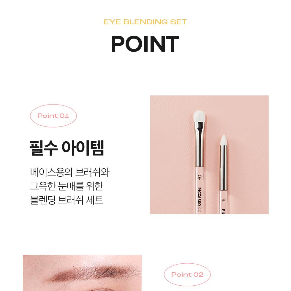 PICCASSO コレッツィオーニ アイブレンディングセット（239+19アイ