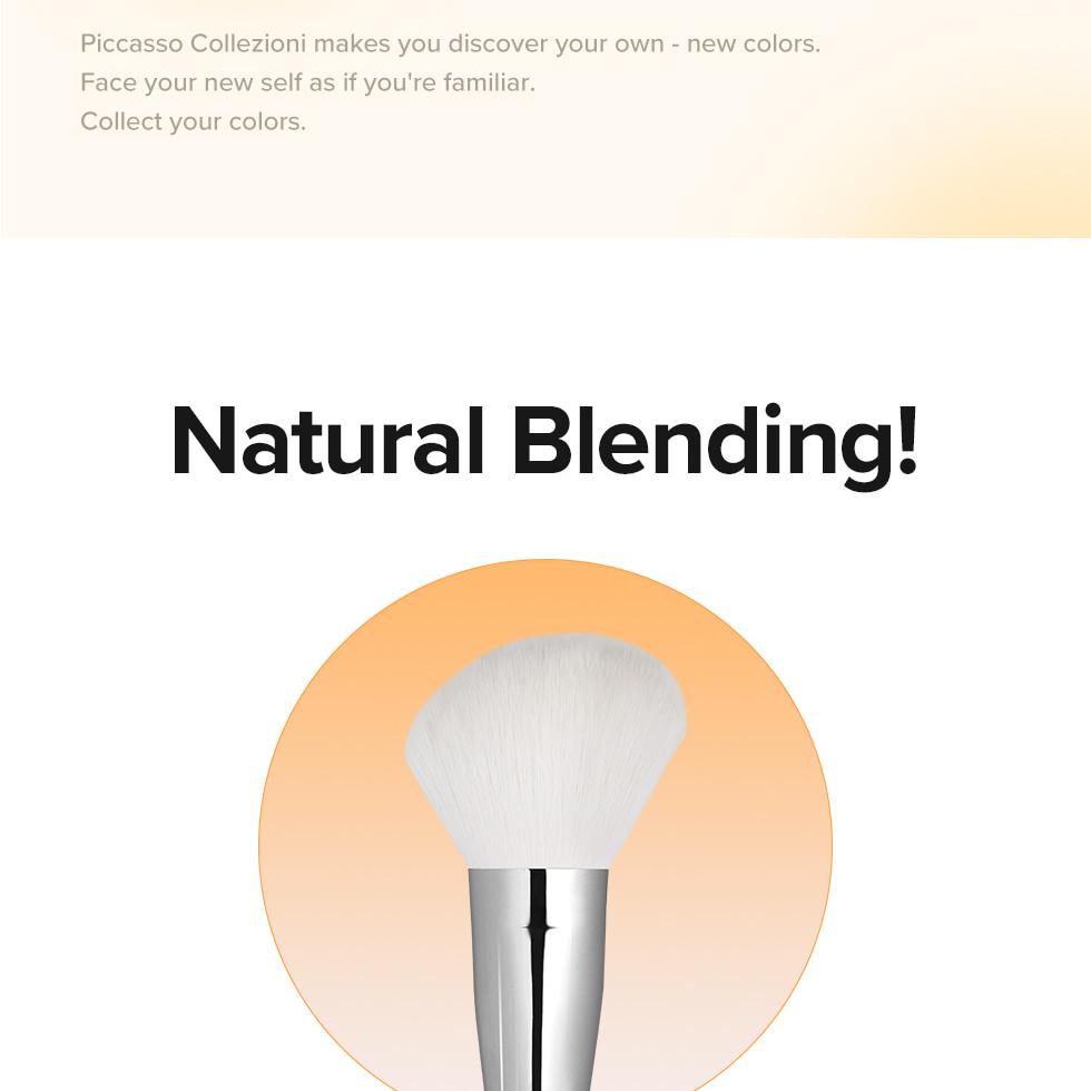 PICCASSO Collezioni 113 Shading Brush | OLIVE YOUNG Global