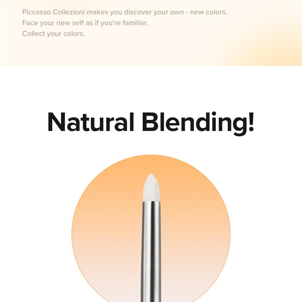 PICCASSO Collezioni 19 Eyeshadow Brush | OLIVE YOUNG Global