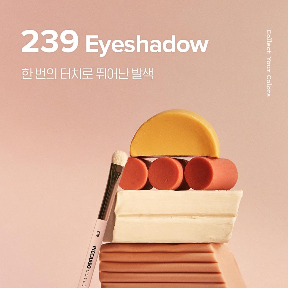 PICCASSO コレッツィオーニ 239 アイシャドウブラシ | OLIVE YOUNG Global