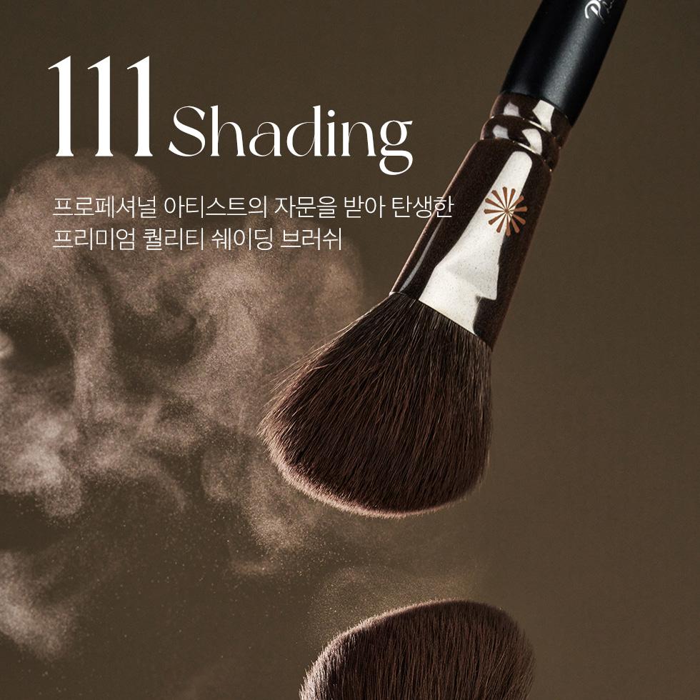 PICCASSO 111 シェーディングブラシ | OLIVE YOUNG Global