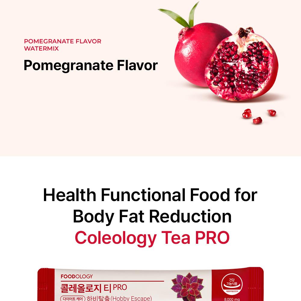 FOODOLOGY Coleology Tea Pro Hobby Escape 8,000mg x 15 Sticks (15