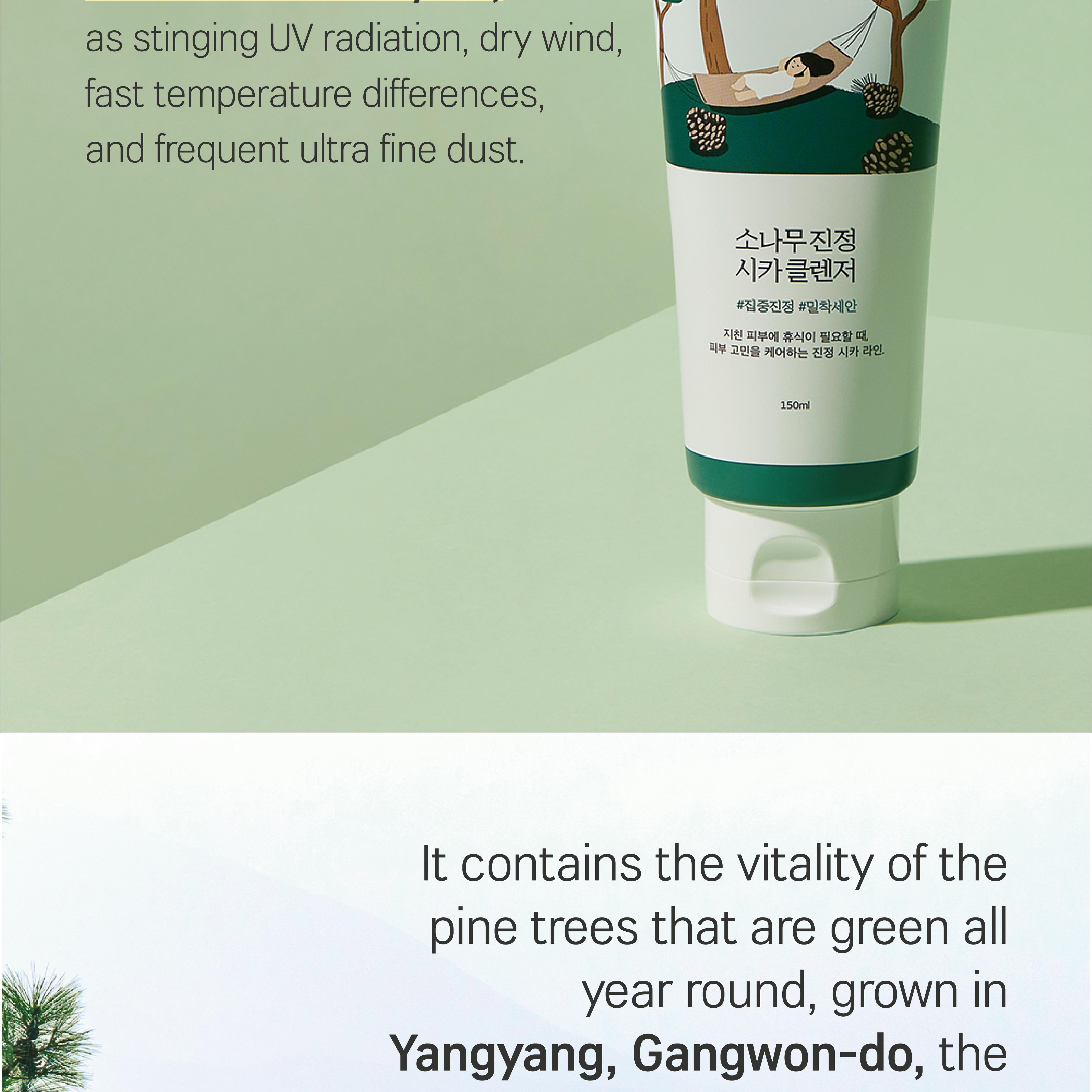 ROUND LAB Pine Calming Cica Cleanser 100ml Double Pack | OLIVE