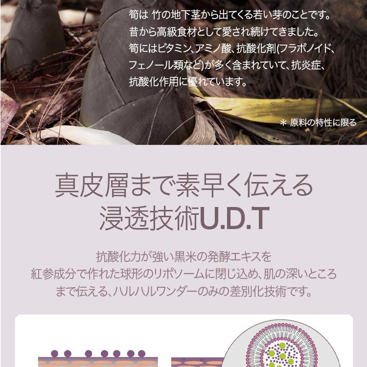 フェイスクリーム HARU Haruharu wonderブラックライス10 ヒアルロニッククリーム 50ml