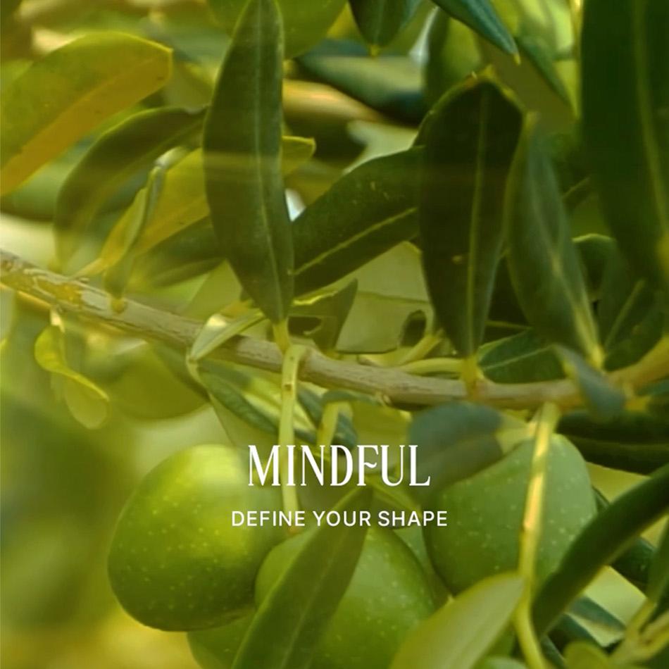 FOODOLOGY Mindful Mediterranean Olive Oil 10 Sticks (10-day supply