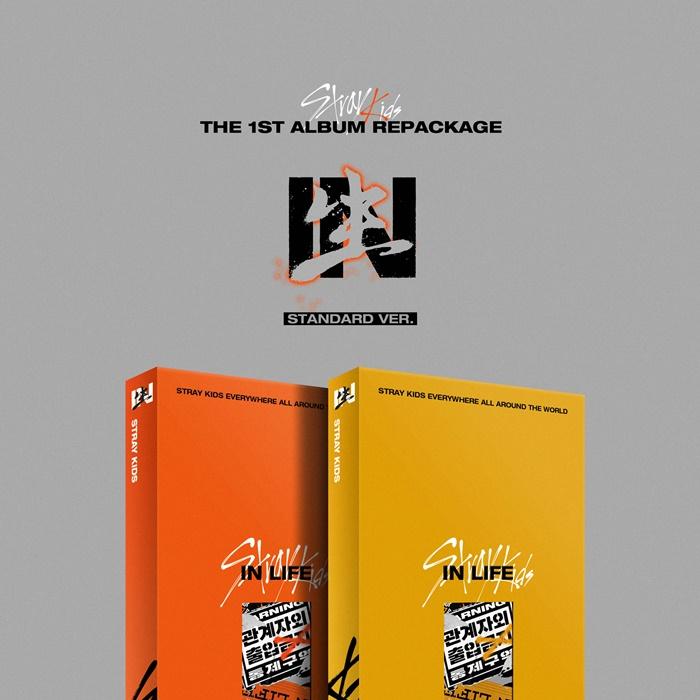 STRAY KIDS - VOL.1 REPACKAGE IN LIFE | OLIVE YOUNG Global