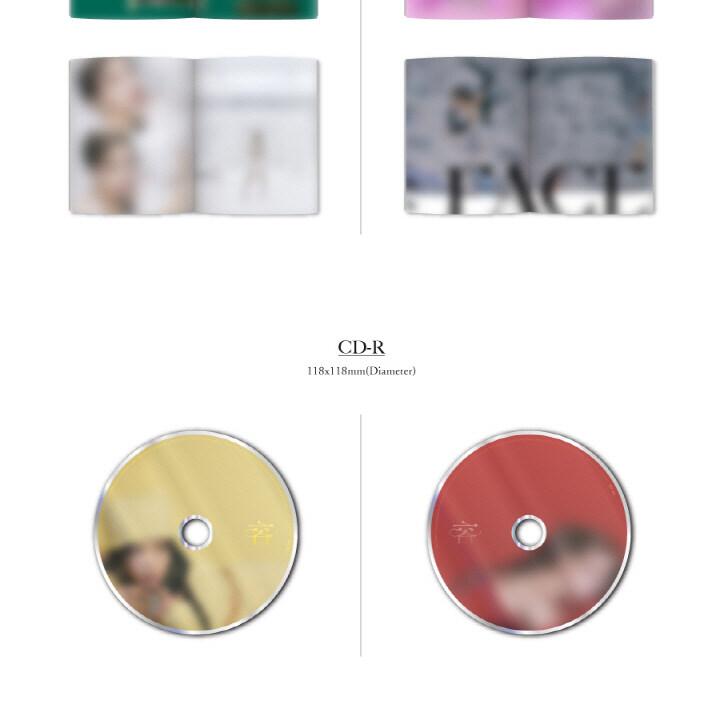 SOLAR - 容 : FACE (1ST MINI ALBUM) FACE VER. | OLIVE YOUNG Global
