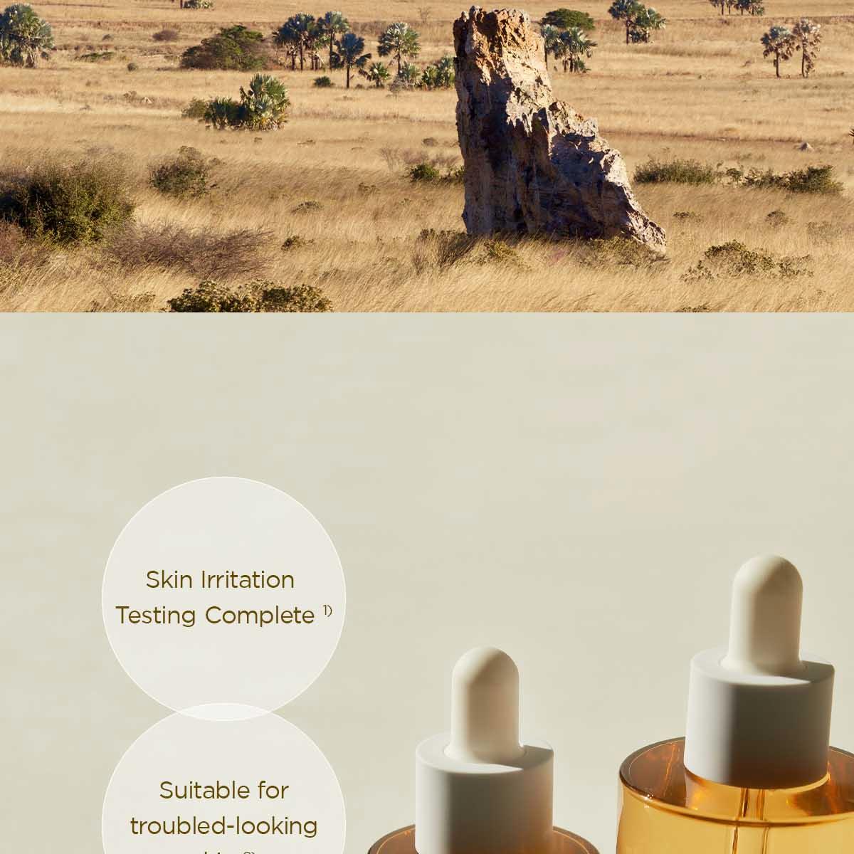 ひよこ 商品詳細ページ