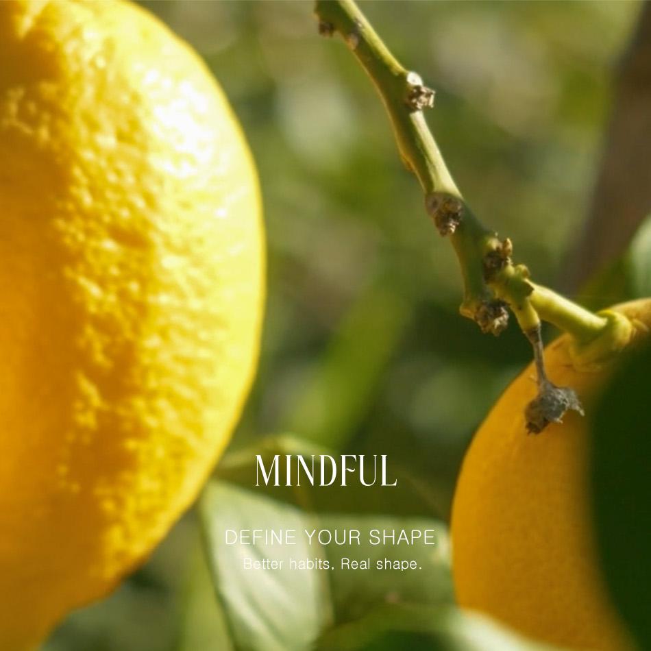 FOODOLOGY Mindful Lemon Green Tea 6g X 15 Sticks (15-day supply