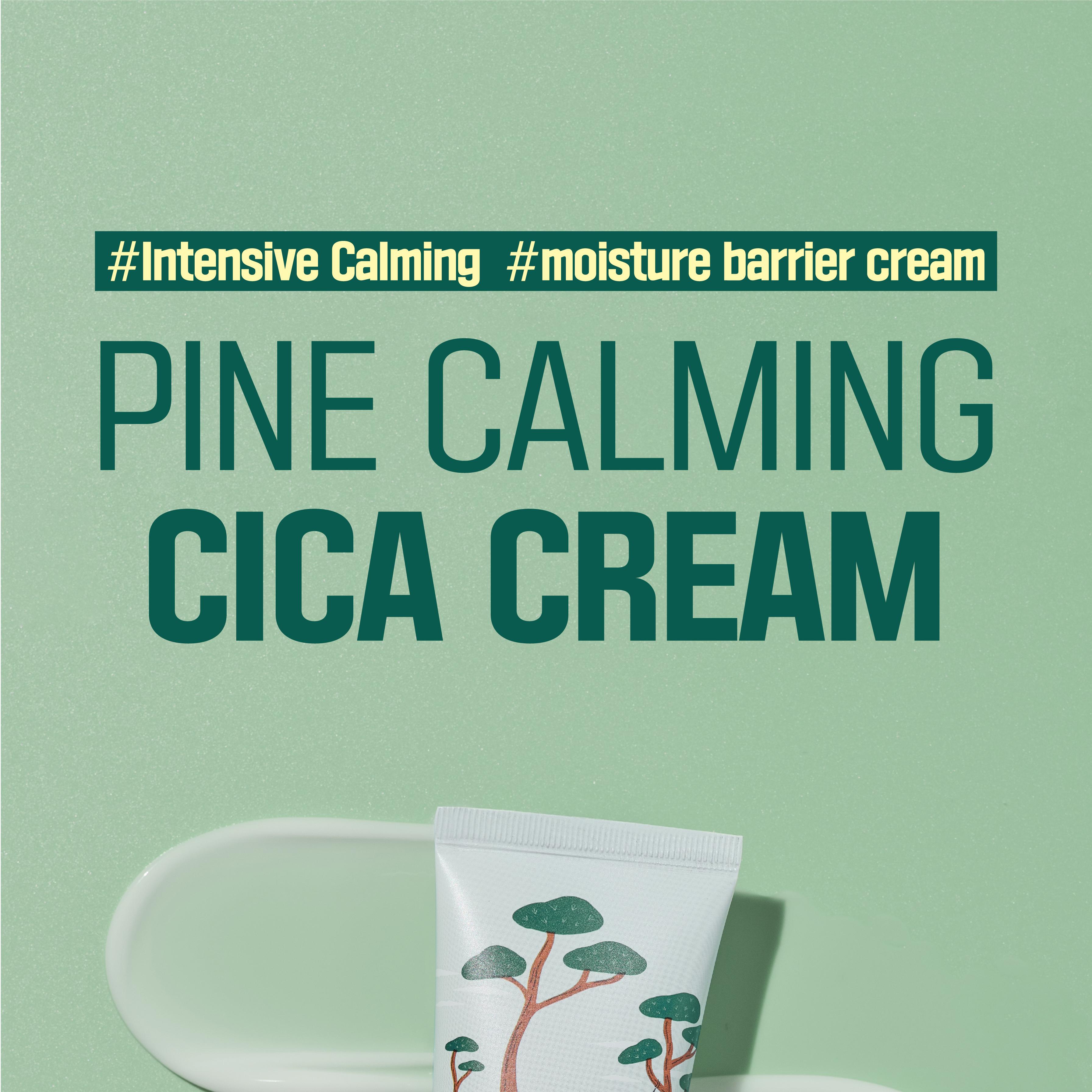 ROUND LAB For Men Pine Calming Cica Cream 75mL | OLIVE YOUNG Global