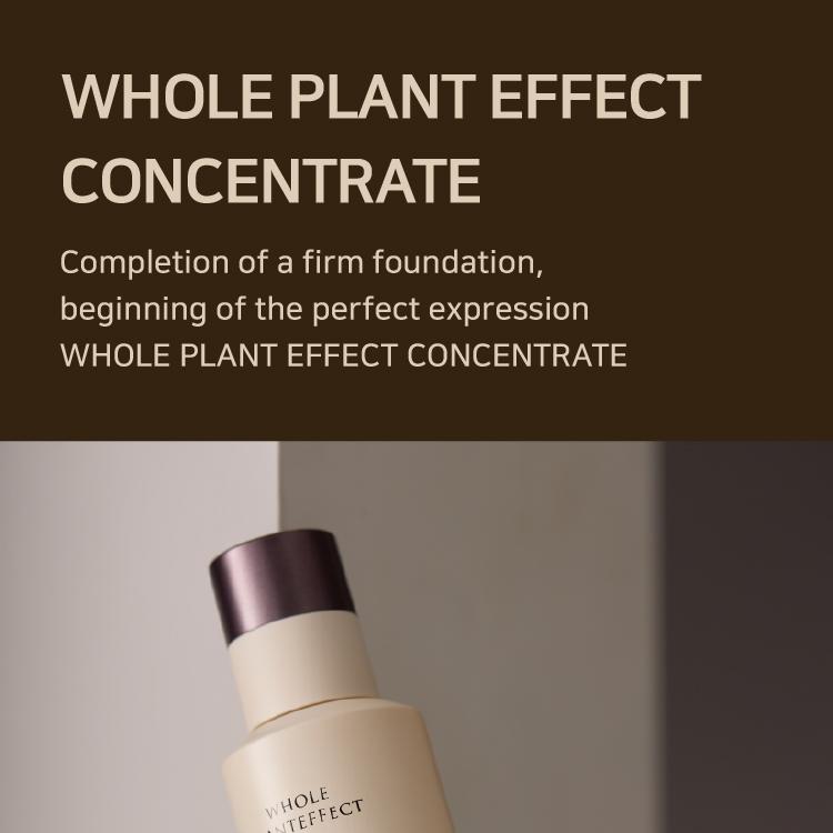 YUNJAC ユンジャック ホールプラントエフェクトコンセントレート YUNJAC Whole Plant Effect Concentrate 40ml | OLIVE YOUNG Global