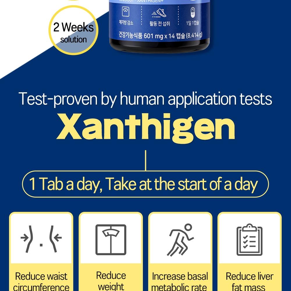 Green Monster Body Fat Diet Kaloout Xanthigen+ (2 weeks supply