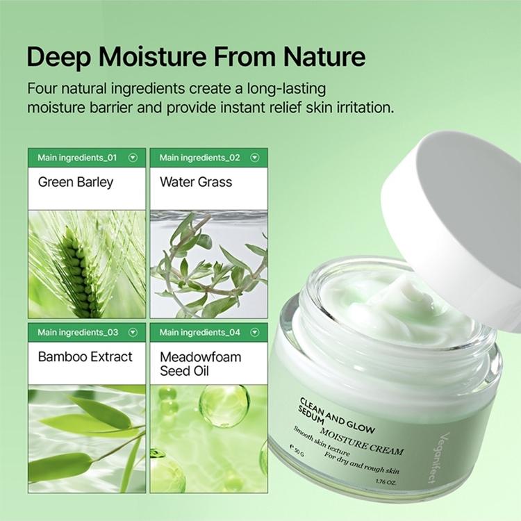 Veganifect Clean & Glow Green Sedum Moisture Cream 50g | OLIVE