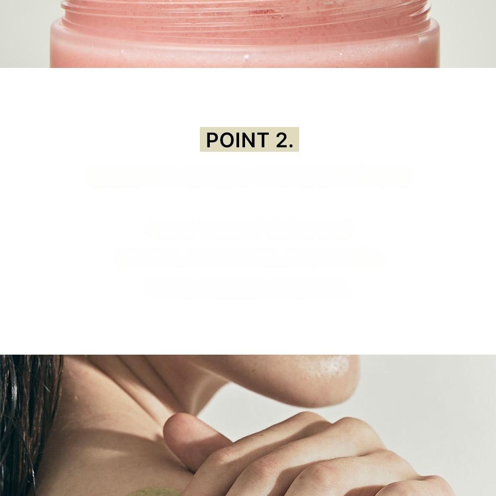 ！fresh！アグリアス・ベアティフィカ・ベアタ　♀　agrias！！標本！蝶..！ オバケのQ太郎 P子 空ビ ミニ ソフビ 人形 藤子不二雄 小学館 版権有り