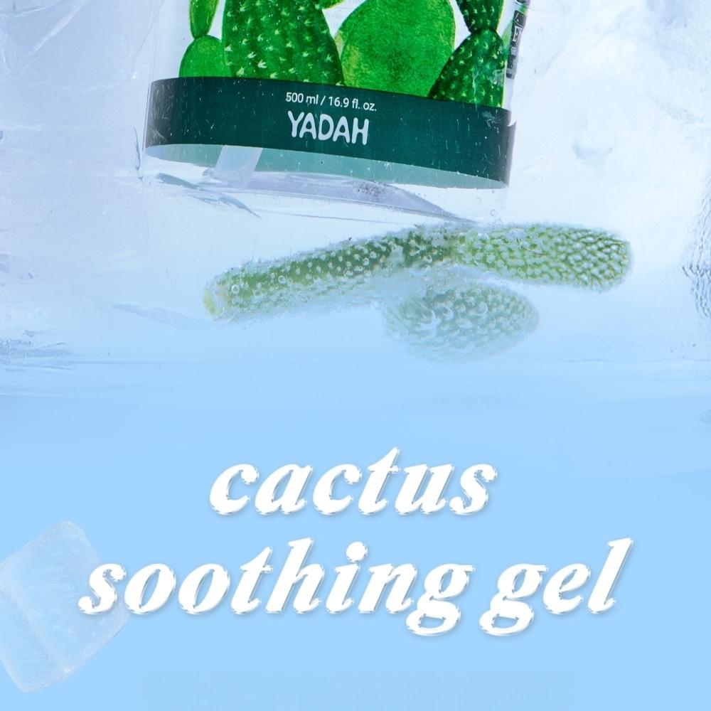 YADAH Cactus Soothing Gel 500mL | OLIVE YOUNG Global