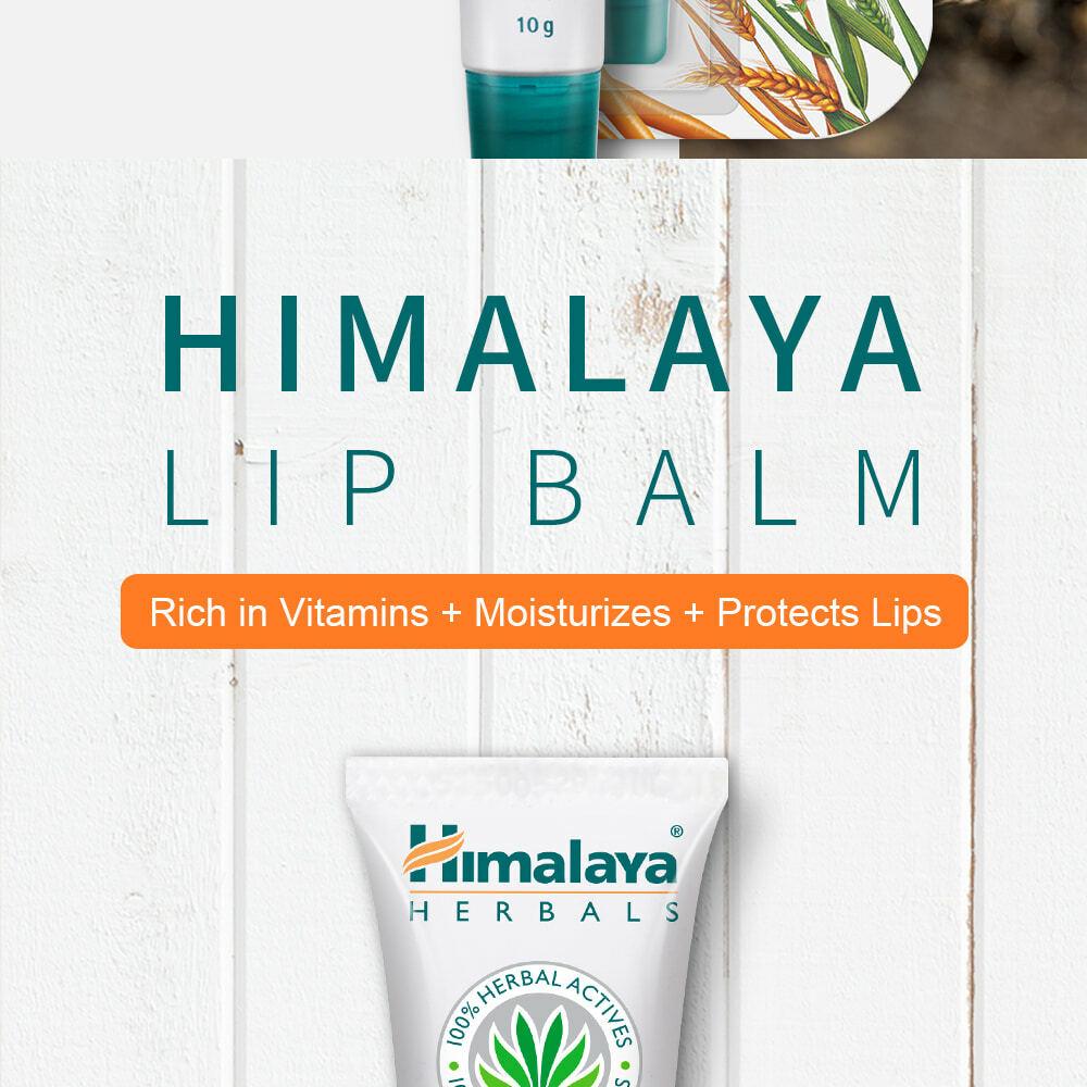 Himalaya リップバーム 10g | OLIVE YOUNG Global