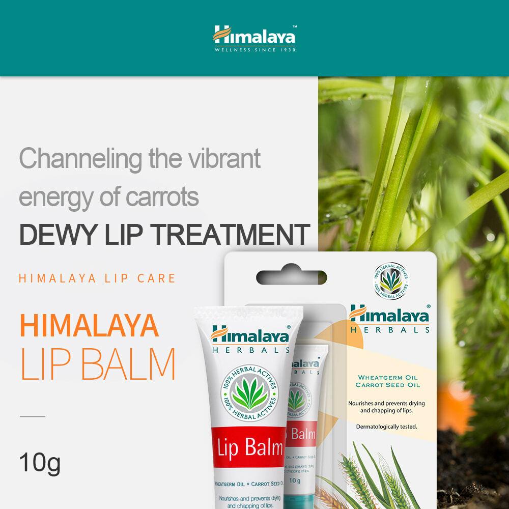 Himalaya Lip Balm 10g×50本 Himalaya Lip Balm (10g) – Greenleafdrugstore