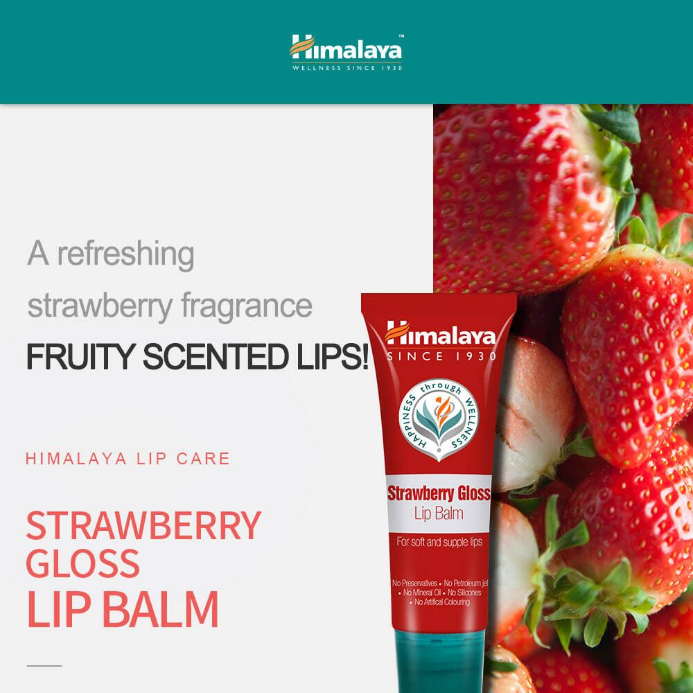 Himalaya Strawberry Gloss Lip Balm 10g | OLIVE YOUNG Global