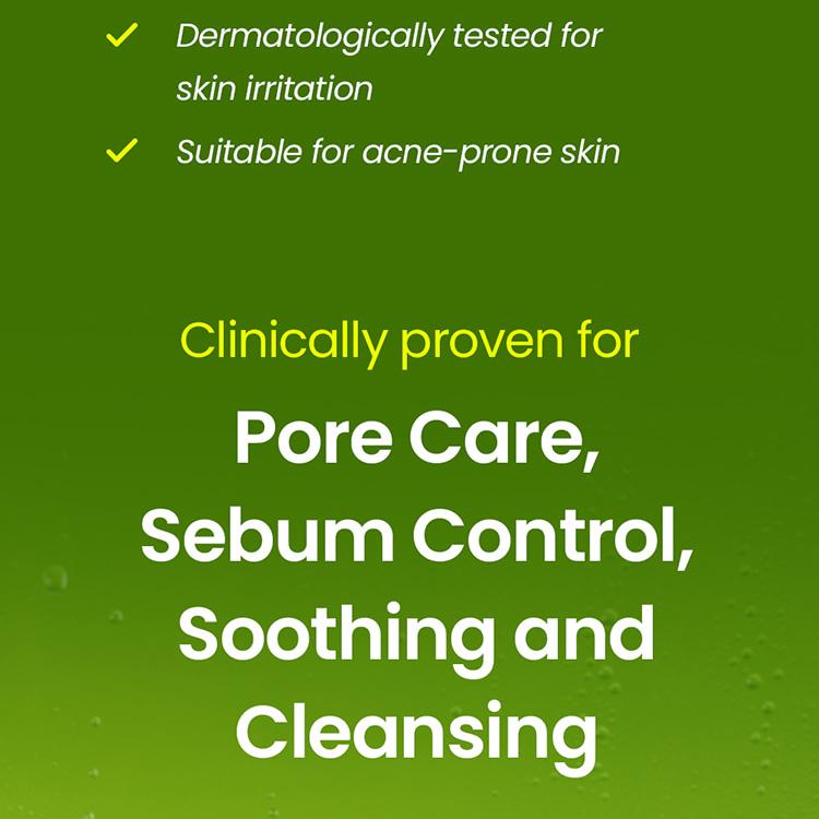 beplain Mung Bean pH-Balanced Cleansing Foam 160ml Double Pack