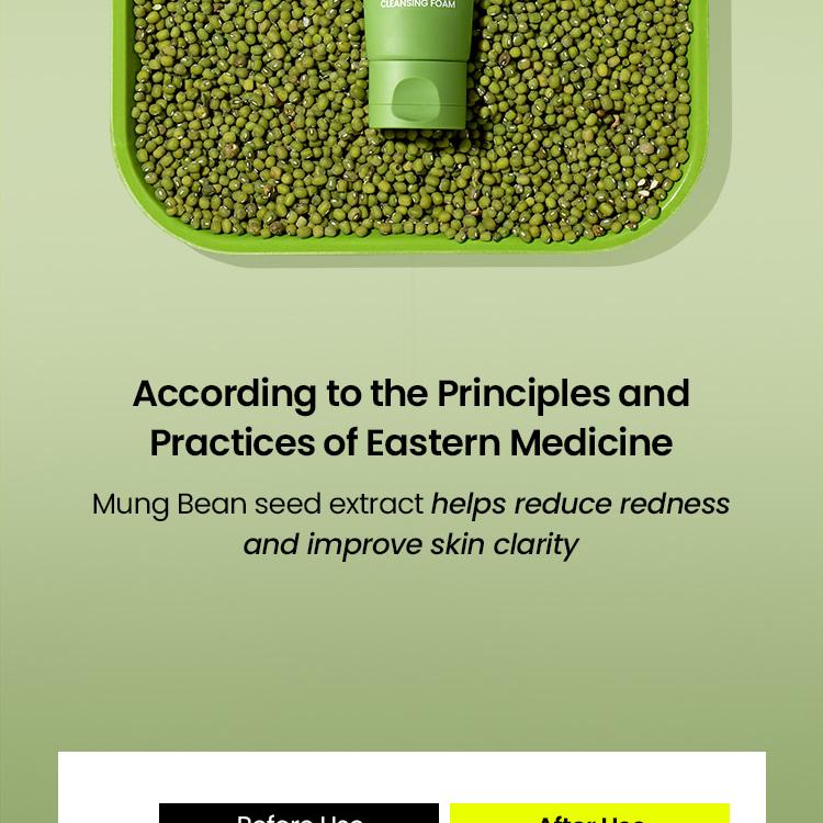 beplain Mung Bean pH-Balanced Cleansing Foam 160ml Double Pack